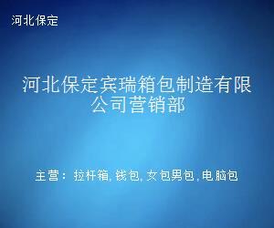 河北保定宾瑞箱包制造营销部